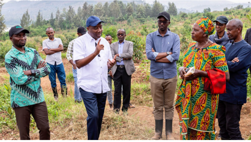 Minisitiri W’Intebe Yasuye Abahinzi B’imbuto Bo Muturere Twa Ngoma ...